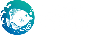 Jersey Corals