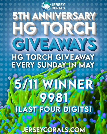 HG Torch Giveaway Prize