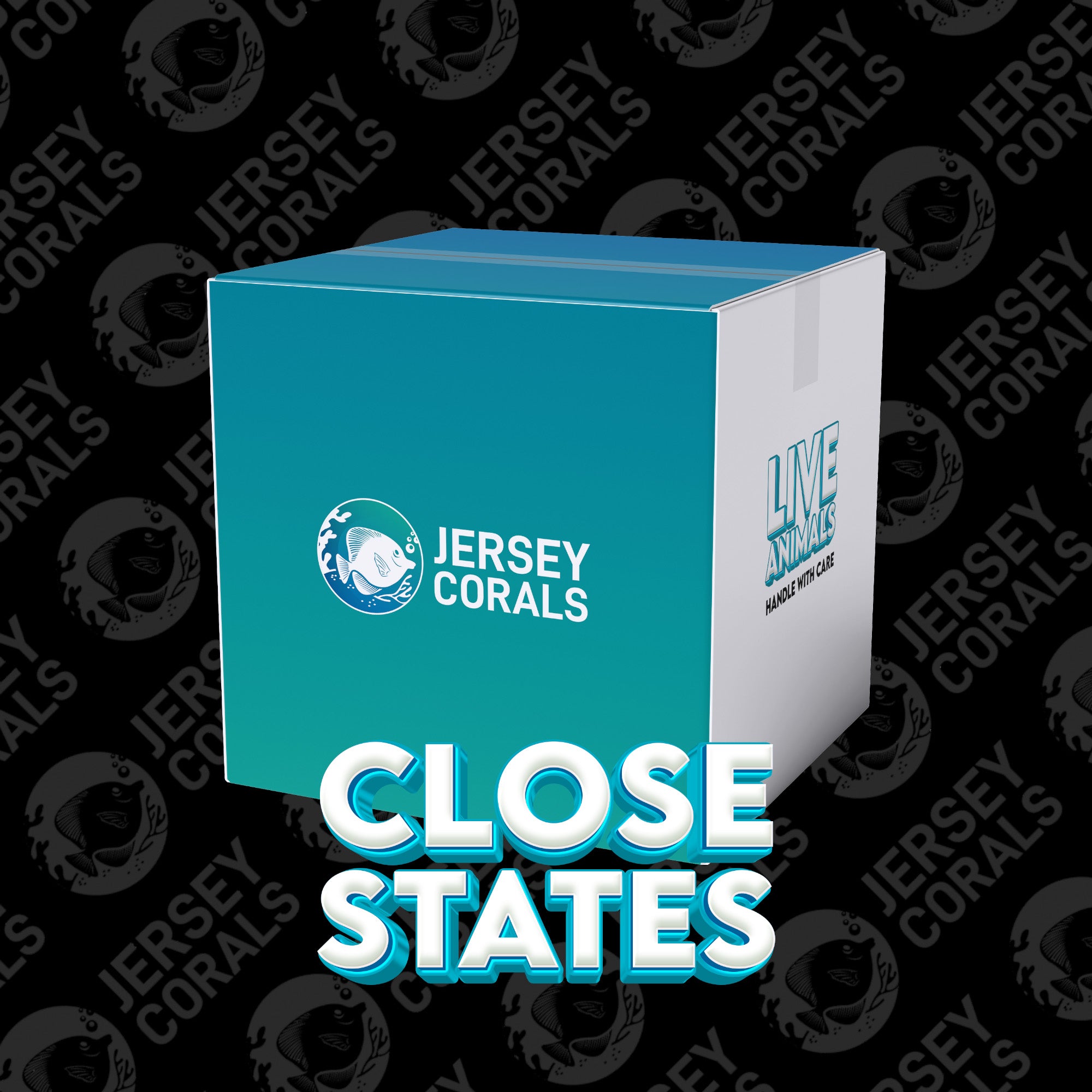 Shipping Box |  Close States