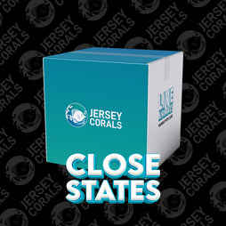 Shipping Box |  Close States