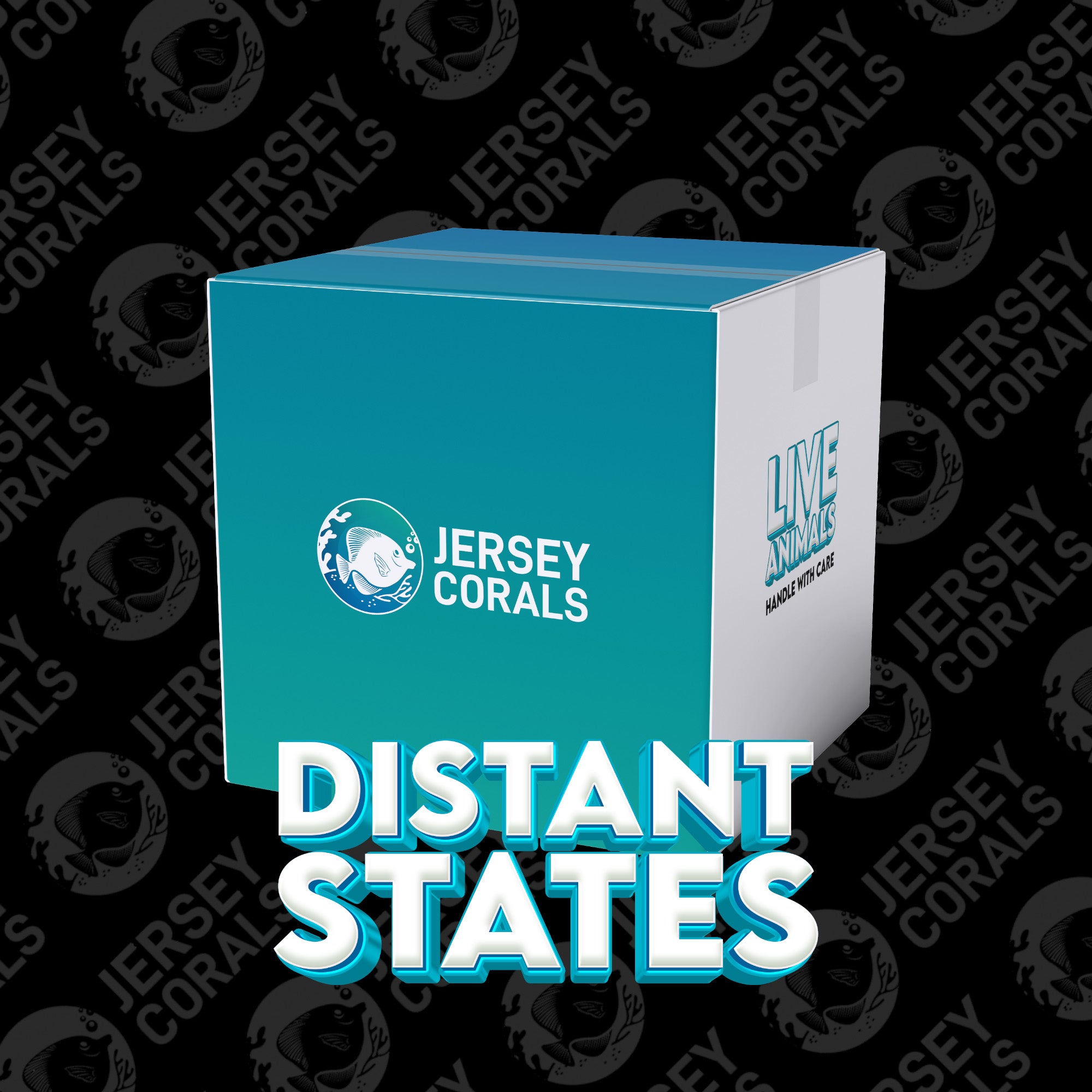 Shipping Box | Distant States