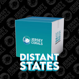 Shipping Box | Distant States