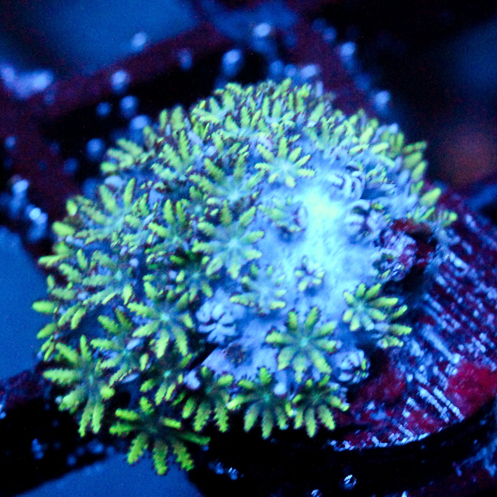JC Atomic Sympodium