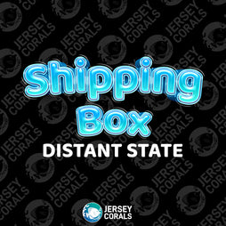 Shipping Box | Distant States