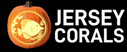 Jersey Corals