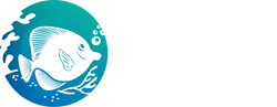 Jersey Corals