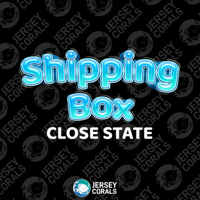 Shipping Box |  Close States